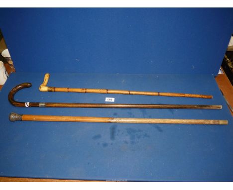 A bamboo walking Stick with horn handle, a walking stick with silver collar and another.