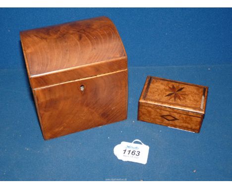 A dome topped tea Caddy with penwork interior lid, 4 1/2'' wide x 5" high and a small Regency burr wood box with star form sp