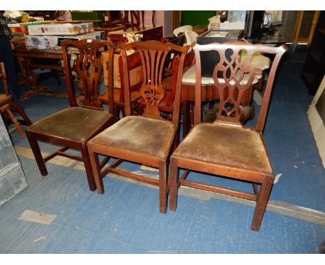 Three Mahogany framed traditional Georgian design side Chairs, two with velvet type drop-in seats, one with a floral tapestry