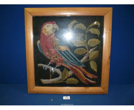 A woolwork tapestry of a Parrot, framed, 19'' x 20''.