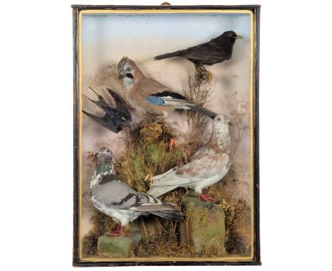 Taxidermy: A Late Victorian Cased Display of British Countryside Birds, circa 1880-1900, a vintage display of various birds t