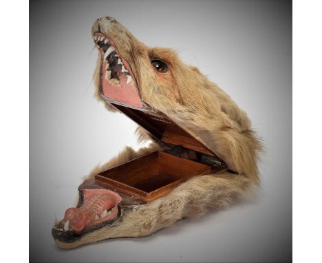 Taxidermy: A Red Fox Mask Cigarette Box, (Vulpes vulpes),  by Army and Navy Stores, Naturalist Dept, London, S.W, an unusual 