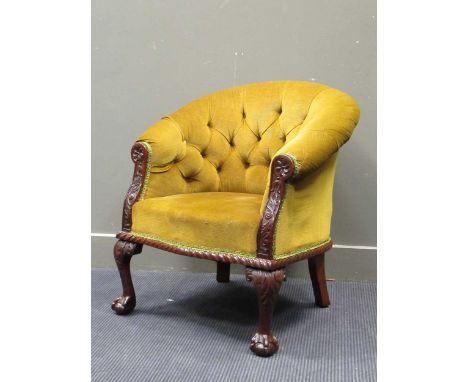 Circa 1890 a mahogany button back tub chair on claw and ball acanthus leaf carved cabriole legs