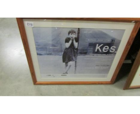 Kes film poster/print, from the 3oth anniversary re-release in 1999 directed by Ken Loach, featuring David Bradley, Freddie F