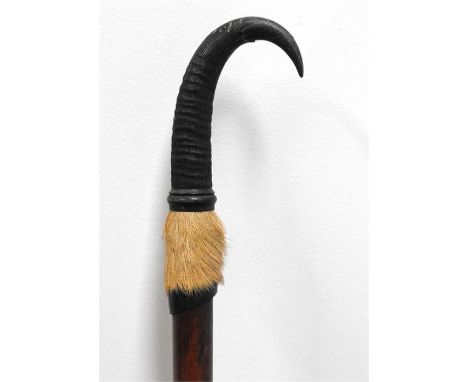 An Alpine walking stick with mounted goat horn handle 153cm high 