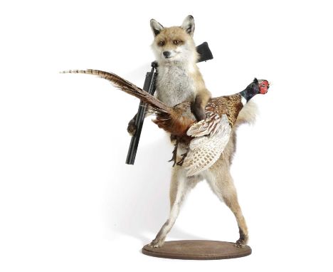 TAXIDERMY. AN ANTHROPOMORPHIC HUNTING FOXMODERNthe fox walking with a pheasant under one 'arm', a replica shotgun over the ri