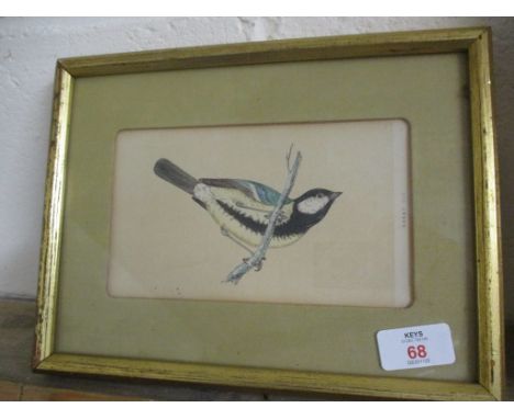 SMALL PRINT OF A GREAT TIT