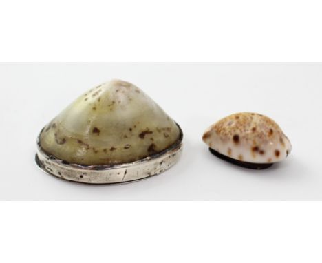 A Georgian silver-mounted limpet shell snuff box, monogrammed 'WD' to the lid, approx 3 x 5.5 x 4.5cm and a smaller copper an