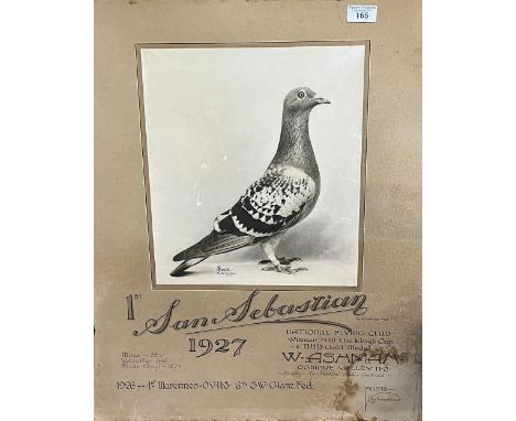 Vintage advertising poster for 'The National Flying Club' depicting a racing pigeon 'San Sabastian' dated 1927. The image 35x