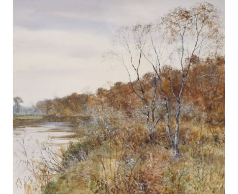 R Fraser, study of a woodland river scene, signed watercolour 38cm x 41cm 