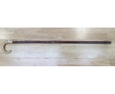  A Shepards Crook walking stick with a horn handle. Approx 110cm in length.