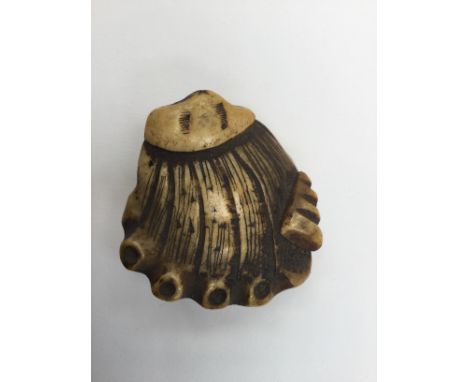 A Japanese Meiji period carved bone netsuke of a clam, length 5 cm.