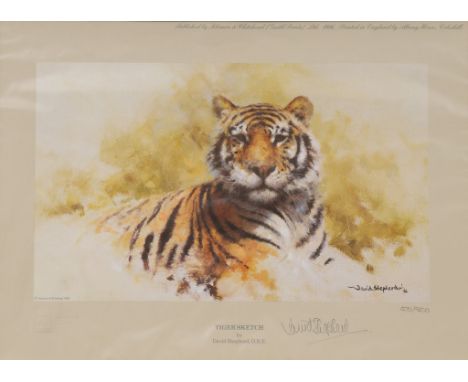 David Shepherd, OBE (British born 1931) 'Lion sketch and tiger sketch'
A pair both signed David Shepherd and numbered 469/850