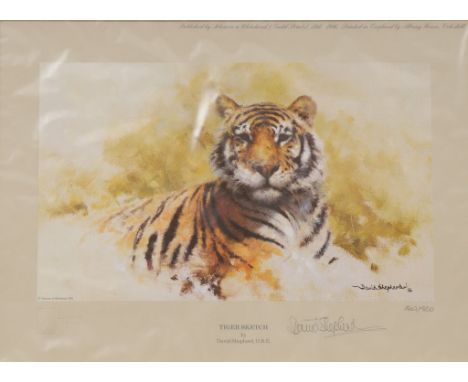 David Shepherd, OBE (British born 1931) 'Lion sketch and tiger sketch'
A pair both signed David Shepherd and numbered 470/850