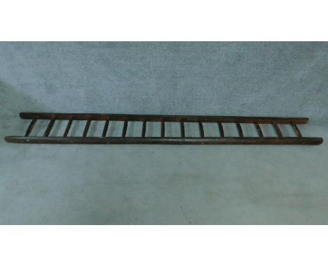 An antique oak ladder. H.325cm 