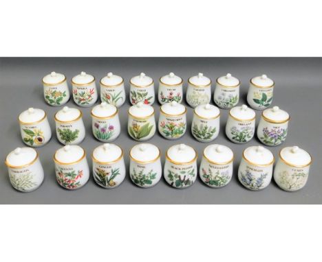 A collection of Royal Worcester porcelain spice jars 