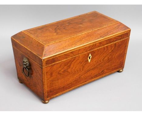 A 19thC. rosewood tea caddy with lion head handles &amp; covers in situ, 12in wide x 6.5in high x 6.25in deep