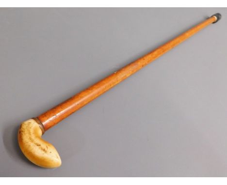 An 19thC. child's Malacca cane &amp; ivory walking stick, 27in long 