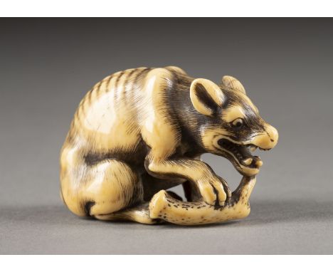 EIN WICHTIGES GESCHNITZTES NETSUKE EINES WILDEN HUNDES AUS ELFENBEIN Japan, 18./19. Jahrhundert Elfenbein. H. 3.3 cm. Das Net