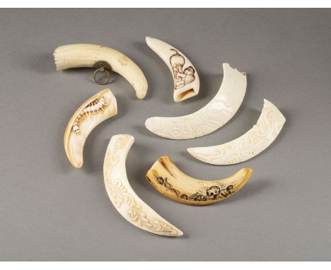 SIEBEN GESCHNITZTE NETSUKE AUS ZAHN Japan, 19. Jahrhundert und später Eberzahn/Walrosszahn. L. ca. 6.5-10 cm. Das Konvolut um