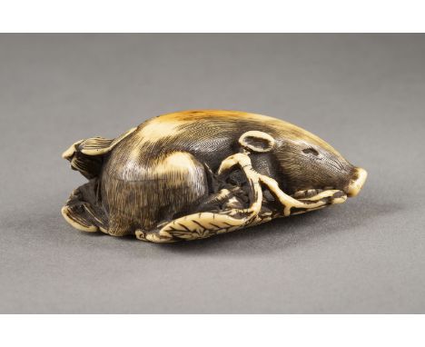 EIN FEINES GESCHNITZTES NETSUKE EINES SCHLAFENDEN EBERS AUS ELFENBEIN Japan, 18./19. Jahrhundert Elfenbein. L. 5.8 cm. Das Ne