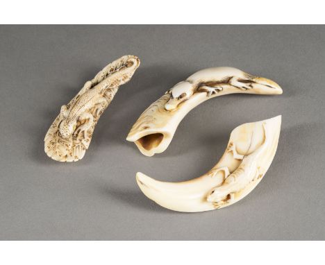 DREI GESCHNITZTE NETSUKE VON REPTILIEN AUS EBERZAHN Japan, 19. Jahrhundert oder später Eberzahn. L. ca. 6.6-8.5 cm. Alle drei