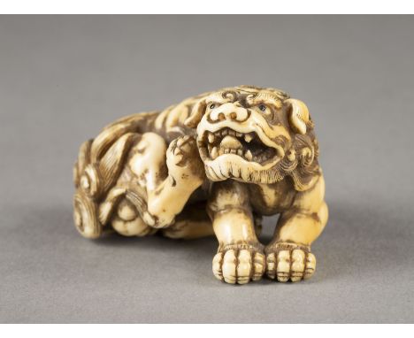 EIN SEHR FEINES UND WICHTIGES GESCHNITZTES NETSUKE EINES SHISHI AUS ELFENBEIN Japan, 18. Jahrhundert Elfenbein. H. 3.1 cm. Da
