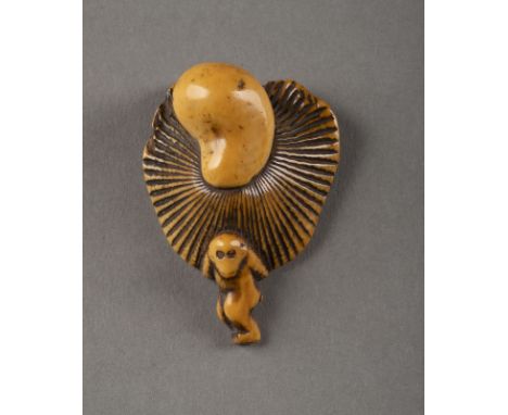 EIN GESCHNITZTES NETSUKE EINES PILZ TRAGENDEN AFFEN AUS ELFENBEIN Japan, 18./19. Jahrhundert Elfenbein. H. 4.9 cm. Das Netsuk