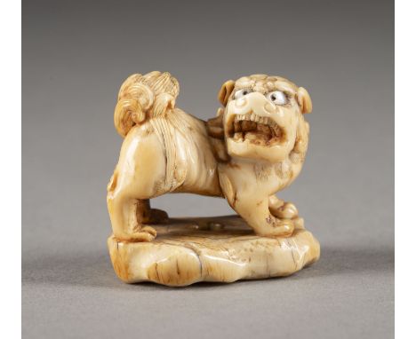 EIN GESCHNITZTES NETSUKE EINES SHISHI AUS ELFENBEIN Japan, 18. Jahrhundert Elfenbein. H. 3.2 cm. Das Netsuke ist als brüllend