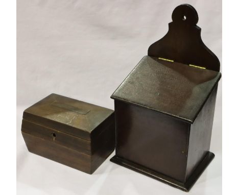Georgian salt box and a sarcophagus tea caddy lacking liner, largest H: 35 cm. P&amp;P Group 3 (£25+VAT for the first lot and