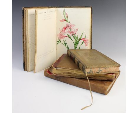 English school, 19th century,A collection of flower studies in a bound leather book with marbled paper,Approximately 47 studi