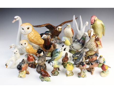 A collection of Beswick birds, to include a 1046 Barn Owl, 19cm high, a 1218 Woodpecker, 22cm high, a 1018 Bald Eagle, 18cm h