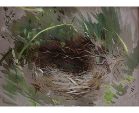 ARCHIBALD THORBURN (1860-1935) FLEDGLING IN A NEST Bears initials AT and dated June 13/84, watercolour sketch 13 x 18cm; with