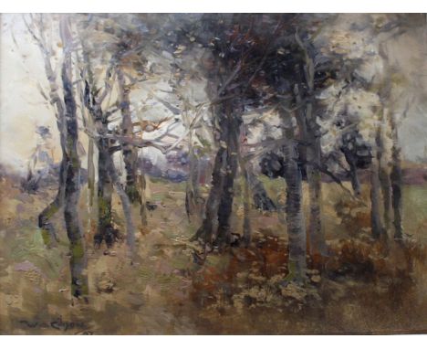 WILLIAM ALFRED GIBSON (1866-1931) BIRCH TREES Signed and dated 97 or 07, oil on thin panel 26 x 34cm. ++ Good condition