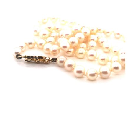 A UNIFORM ROW OF 68 CULTURED AKOYA PEARLS. SIZE RANGE FROM 5.5mm TO 6.0mm. ASSESSED COLOUR LIGHT-CREAM WITH A GREEN OVERTONE 