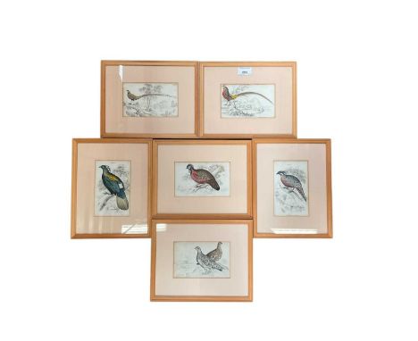 Set of six prints of birds and four others