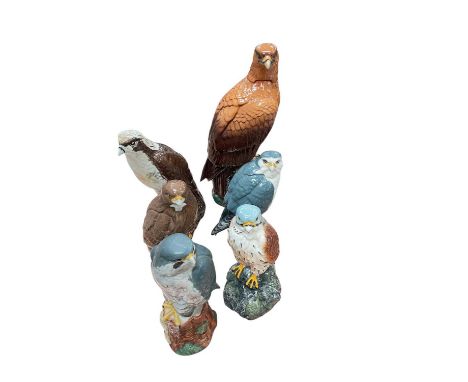 Group of six Royal Doulton Birds of Prey Whisky decanters (6).