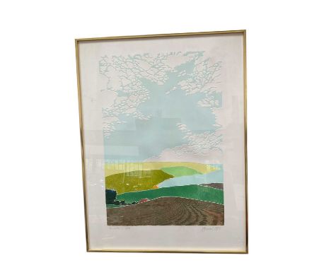 Barbara Newcomb (1936-2020) pair of collographs with embossing, titled, signed and dated, images 61 x 41cm, glazed frames, an