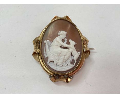 Victorian carved shell cameo depicting a seated woman with a dog, in a gilt metal brooch mount with glazed compartment to the