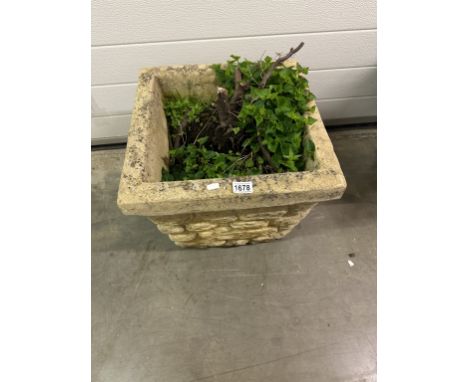 A square concrete planter
