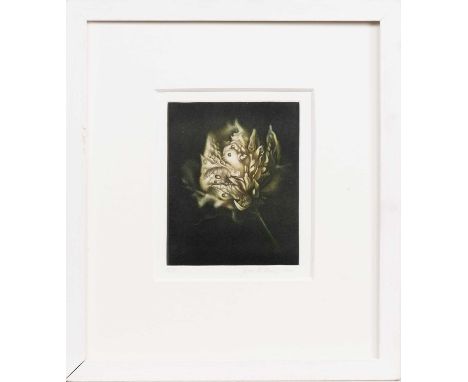 * JAMES MCDONALD (SCOTTISH b. 1956), ODYSSEY artist's proof mezzotint on paper, signed, numbered A/P and dated 2011mounted, f