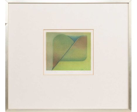 * JACKI PARRY RSA (AUSTRALIAN/SCOTTISH b. 1941), SUMMERTIME BURN limited edition artist's proof etching, signed, titled and n