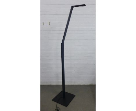 Luctra adjustable floor lamp, 192cm to head 