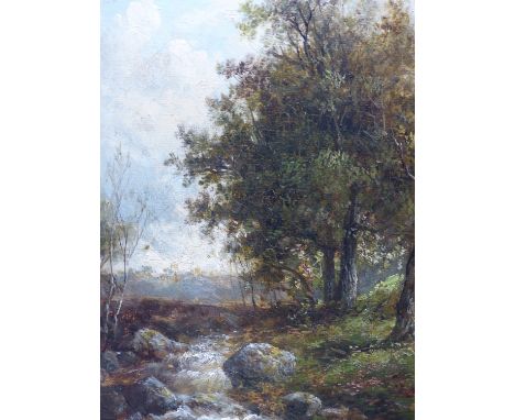 19TH CENTURY ENGLISH SCHOOL, A WOODED STREAM. OIL ON CANVAS. 14 X 19 cm.
&nbsp;
Condition of lots is NOT referred to in the l