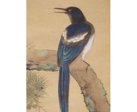 JAPANESE SCHOOL 19TH/20TH CENTURY, THREE STUDIES OF KINGFISHER, MAGPIE AND A PRIMATE ON BRANCHES. WATERCOLOURS. SIGNED WITH S