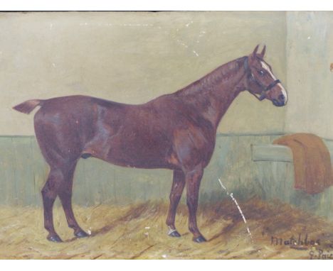 GEORGE PAICE (1854-1925) PORTRAIT OF RACEHORSE MATCHBOX- OIL ON BOARD. SIGNED AND TITLED LOWER RIGHT. 29 X 22 cm
&nbsp;
Condi