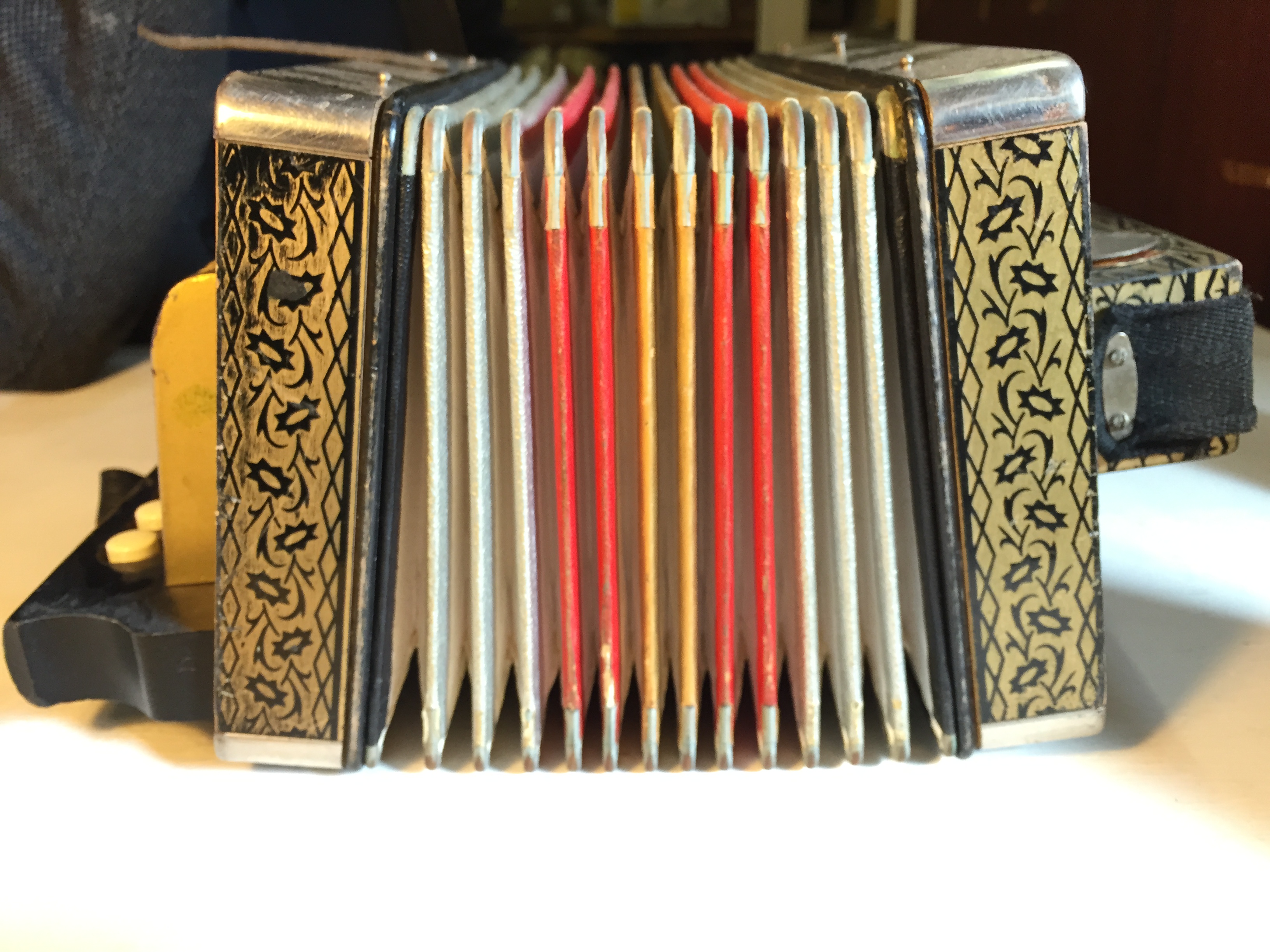 A M. Hohner small German accordion.