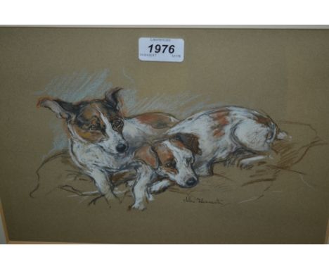 Nora Howarth, signed charcoal and pastel, portrait of two Jack Russells, 9.5ins x 13ins