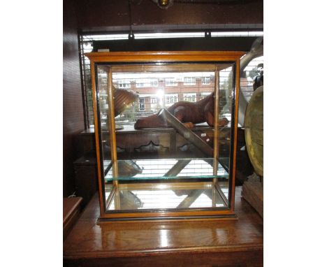 Late 19th or early 20th Century light oak and part ebonised counter top display cabinet with open back, 28ins x 24ins (shelve