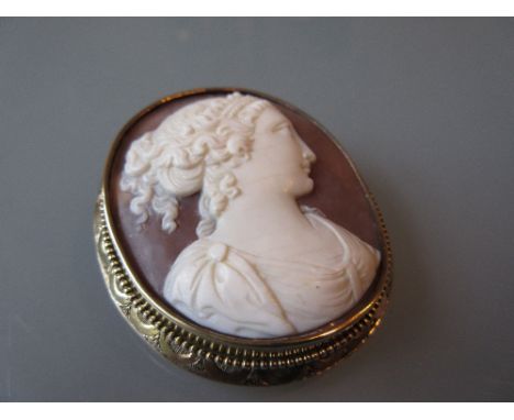Similar gold mounted shell cameo portrait brooch